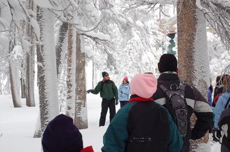 A snow ranger leads a group of students through a snowy forest.